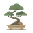 bonsai logo