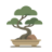 decastroc-com.pages.dev favicon